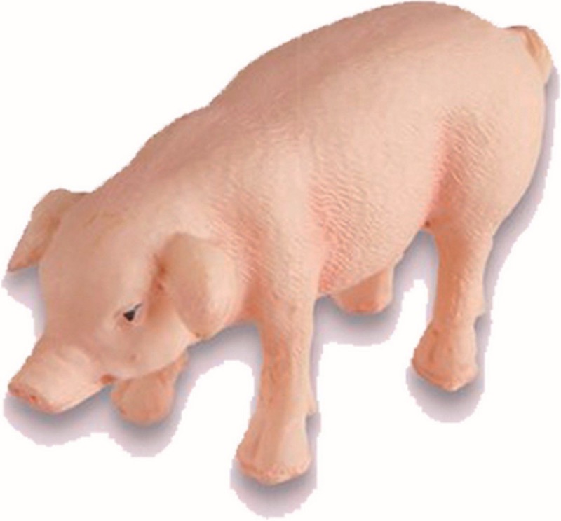 ver cerdito belén