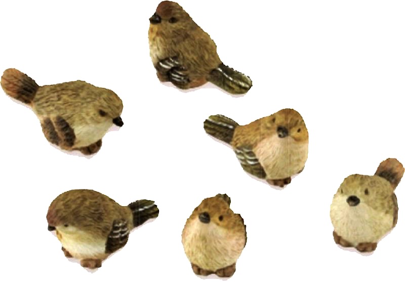 ver pajarito para belén
