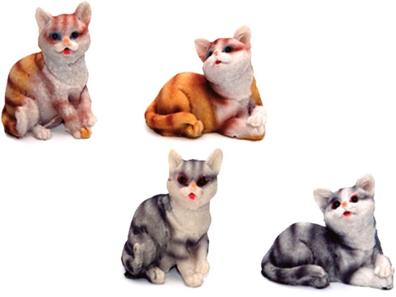 ver gato belén