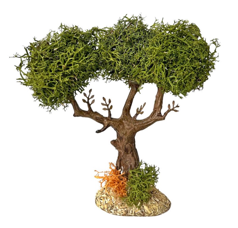 ver árbol musgo polar belén