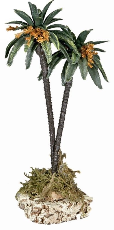 ver palmeras de belén