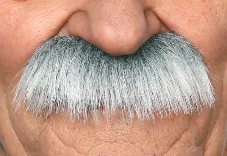 ver bigote canoso disfraz