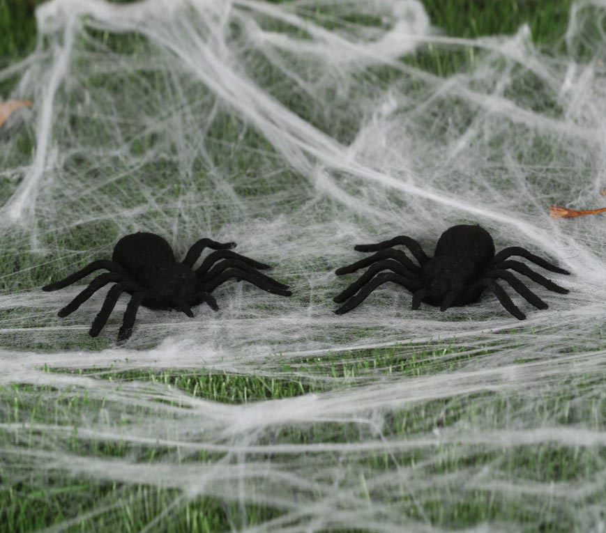 ver araña peluda halloween