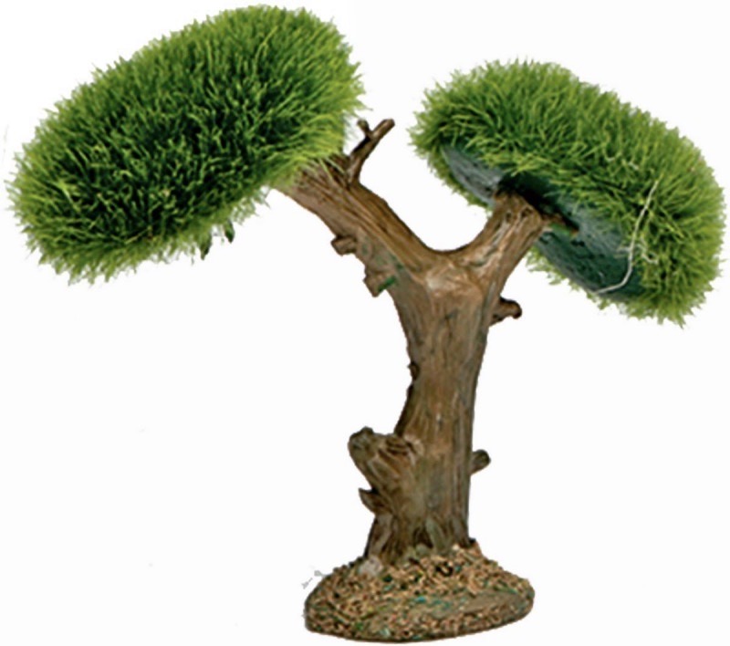 ver árbol doble copa belén
