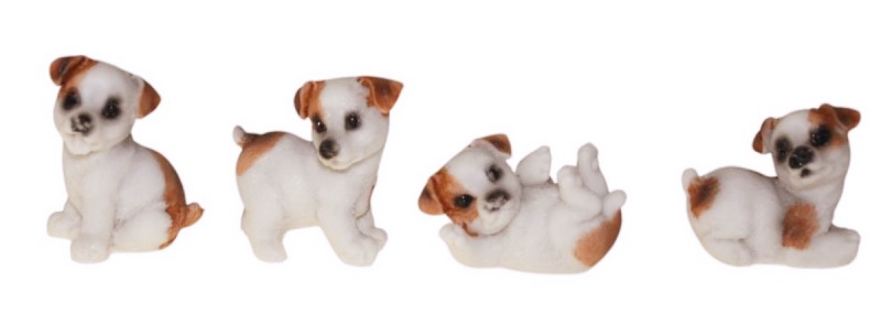 ver perro pequeño belén